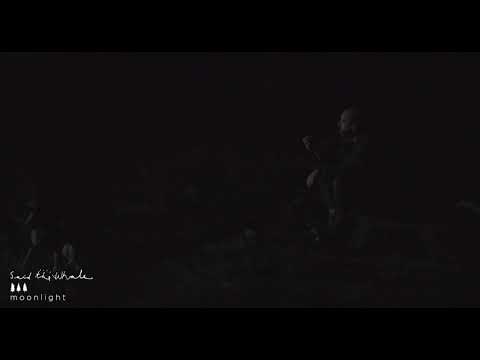 Video thumbnail for Moonlight