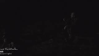 Said The Whale - &quot;Moonlight&quot; [Official Audio]