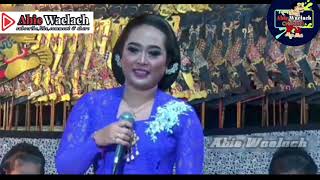 Download lagu Slendang Sutra Kuning - Tatin Lestari Handayani mp3 Download lagu Slendang Sutra Kuning - Tatin Lestari Handayani mp3
