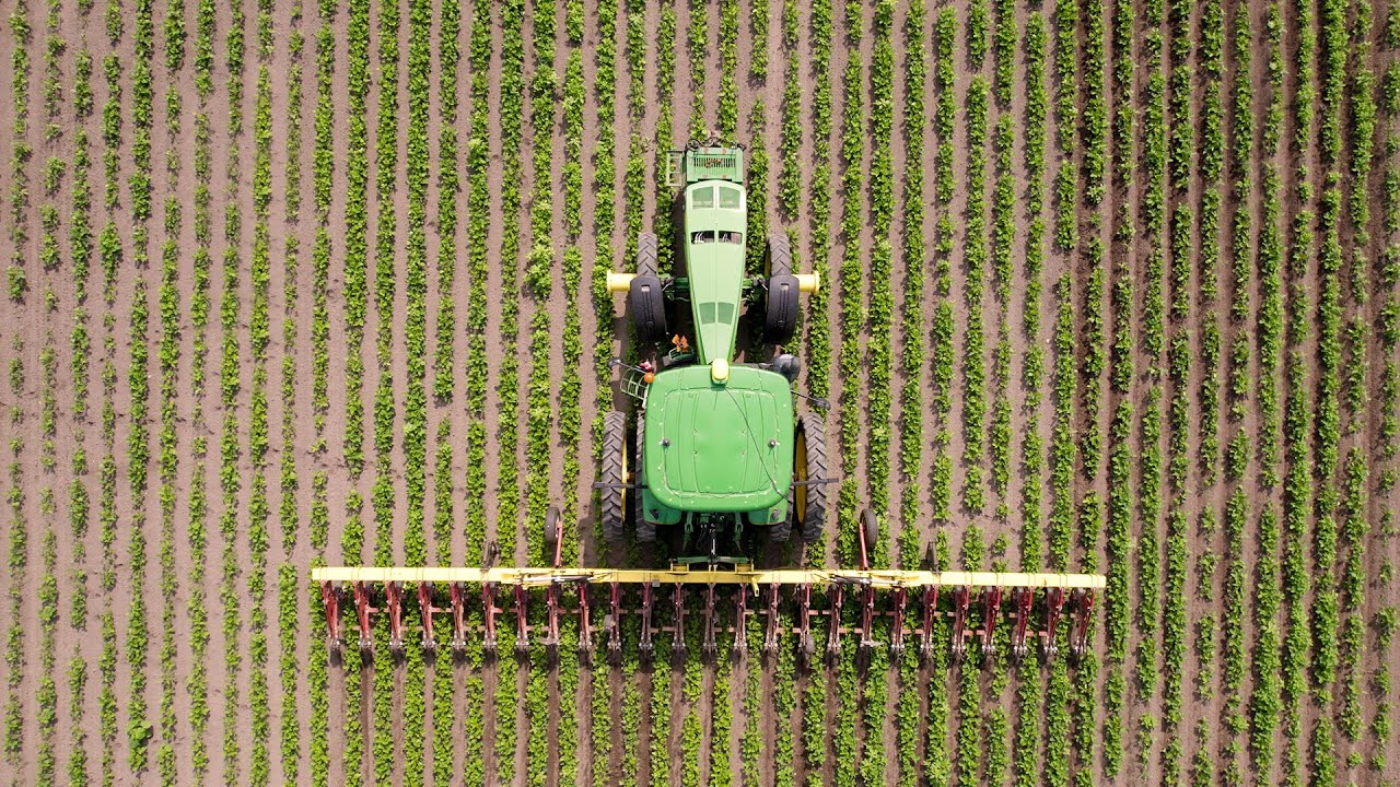 Upgrade Your Cultivator with Torsion Weeders