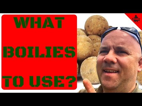 WHAT BOILIES TO USE?