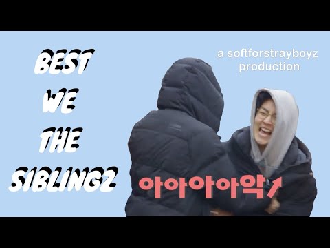 best we the siblingz | THE BOYZ acting like a real family |