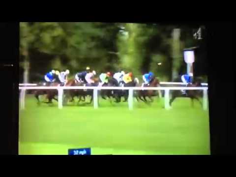 Qipco Champion Stakes 2013