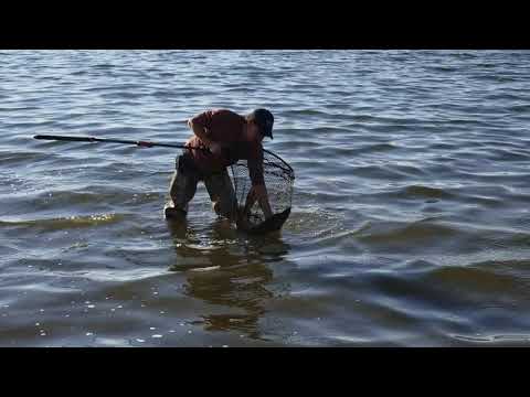 My friend Chad catches a 10 pound pike!