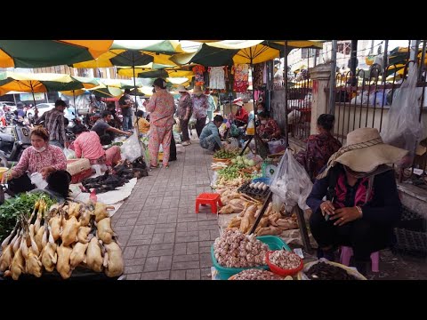 Morning Daily Life Style at Phsa Century Plaza Temporary - Walk Around Food Market in Morning