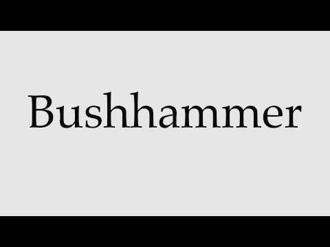 How to Pronounce Bushhammer