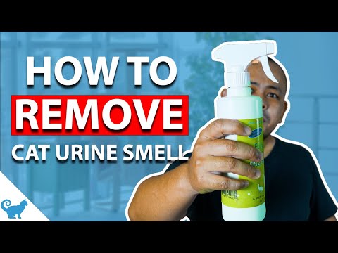 Cat urine odor removal - Remove it once and for all