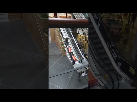 Worker Tries To Take Two Full Garbage Bins Up An Escalator, Really Regrets It