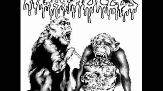 Agathocles - Dormant Cell