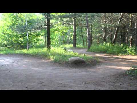 Headquake's RC - #171 (Best of 2013)