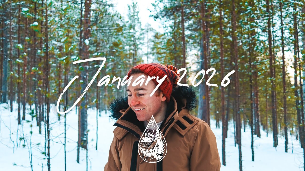 Indie/Rock/Alternative Compilation • January 2026 🌲 (best indie songs | 2-hour playlist)
