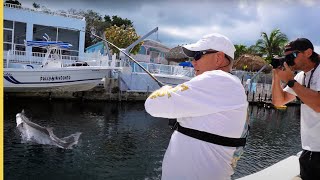 Tarpon in the Canal and Inshore Fishing with Friends