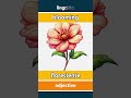 blooming - floreciente video thumbnail