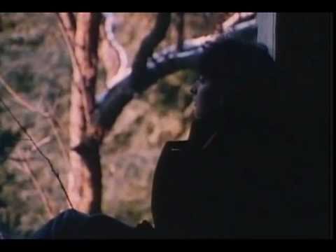 Voices from the Attic