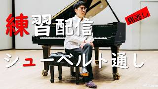 Download lagu 【練習配信】シューベルトプログラム通し mp3 Download lagu 【練習配信】シューベルトプログラム通し mp3