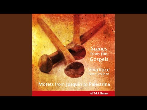 Willaert: Angelus Domini descendit