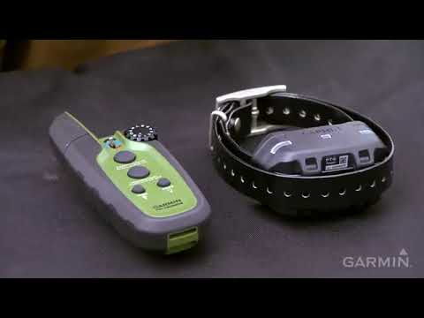 Garmin Sport PRO Dog Training Collar Product Overview