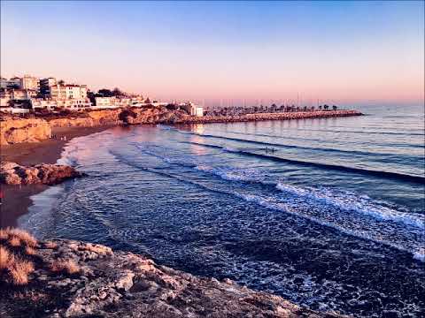 ABRAHAM HICKS Animal Cruelty