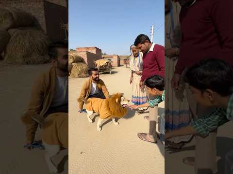 Dog in Lion 🦁 Suit Prank villagers, chaos and giggles 🤭 #ytshorts