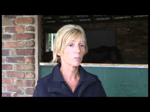 Magic Millions Race Day Preview - Military Grace & Internal Revenue