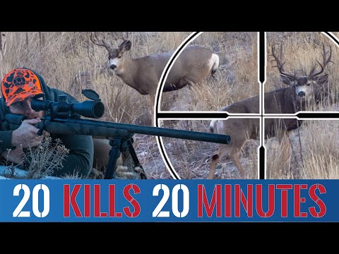 20 KILLSHOTS in 20 Minutes (BEST Hunting Compilation)