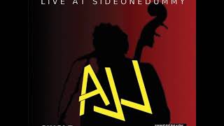 AJJ - Goodbye, Oh Goodbye (Acoustic Live - Decade of Regression)