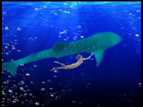 Martin Roth & Alex Bartlett - Losing Gravity