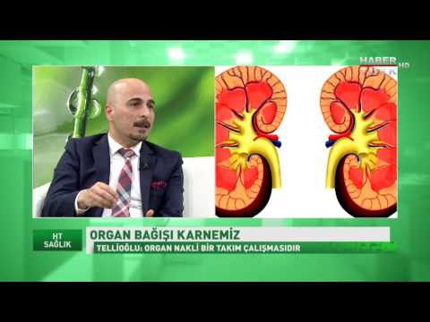 HT Sağlık - 1 Nisan 2017 (Organ Bağışı ve Kanser Tedavisi)