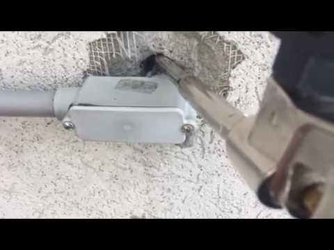 Rodent Control Mission in South Amboy, NJ