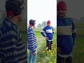 Sarso Ke Safiya Taja Yutubeshorts Comedy Funny Sorts Bhojpuri