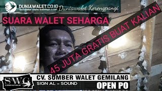 Download lagu Suara walet binaan khusus[REZA SWG]seharga 45 juta gratis buat kalian mp3