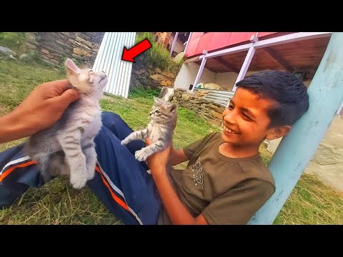 cats or mokshit ne Kiss krdi 💋😂