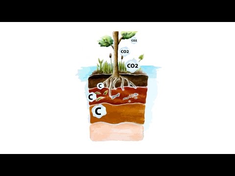 What is the Global Wetlands Map?