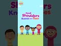 Head Shoulders Knees Toes Kids Song Nasheed Vocals Only Muslim Version Supermuslimkids
