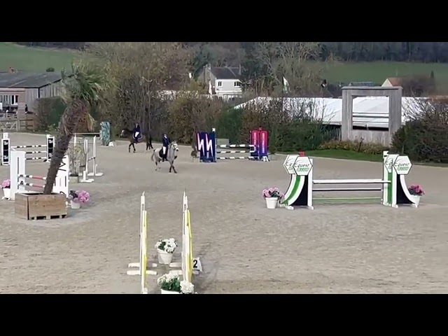 Poney C &agrave; vendre 