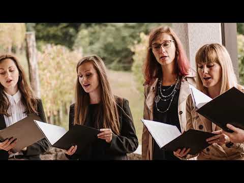 Aleluja, tu sem s tabo (Hallelujah), VS Karina