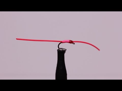 Son of San Juan Worm