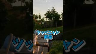 最強パッシブのツッパニャンが出るまで厳選してみた！