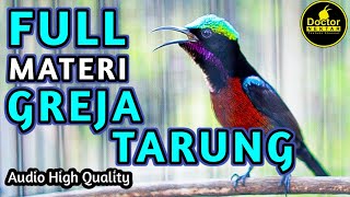 Download lagu AWAS NYAUT ! KONIN GACOR FULL ISIAN TEMBAKAN GEREJA TARUNG COCOK BUAT KOLIBRI BAHAN AGAR CEPAT BUNYI mp3