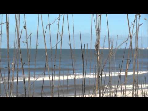 Taken by the Sea - Darren Hayes