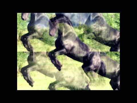 Maka ft Vicente el Vizio - Caballo Loko