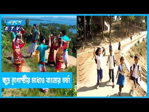 ক্ষুদ্র নৃগোষ্ঠীর ভাষা রয়েছে ৪১টি