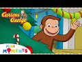 Curious George | Grocer George Christmas Special | Mini Moments