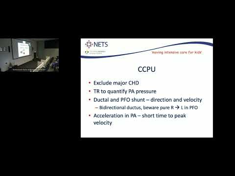 Neonatal Physiology and Pulmonary Hypertension   Amber Siegel