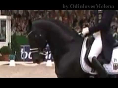 Totilas - Macht doch endlich die Augen auf!