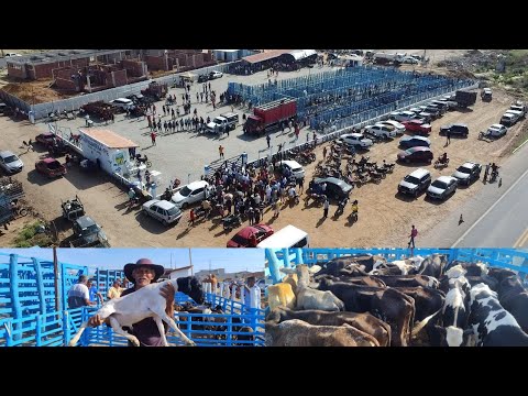 INAUGURAÇÃO DO NOVO LOCAL DA FEIRA DE ANIMAIS, EM PARNAMIRIM -PE. 09/12/2025. #nordeste 