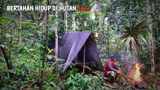 Download lagu Bertahan hidup di hutan, memasak sayuran liar, mancing ikan dan membangun shelter | SURVIVAL EPS 3 mp3 Download lagu Bertahan hidup di hutan, memasak sayuran liar, mancing ikan dan membangun shelter | SURVIVAL EPS 3 mp3
