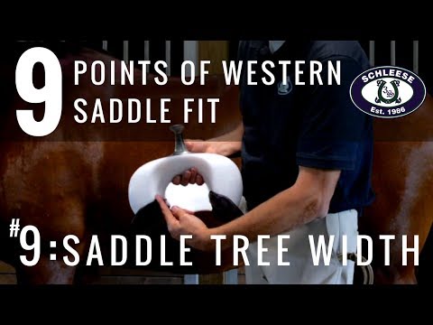 Tip #9: Saddle Tree Width - The 9 Points of Western Saddle Fit