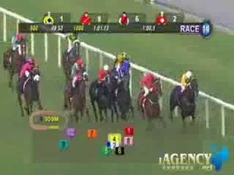 SINGAPORE RACE 10/11/2013 RACE 11 - iAgencyNet.com