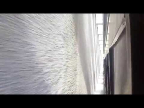 3642 North Strathfield Underpass Grand Opening